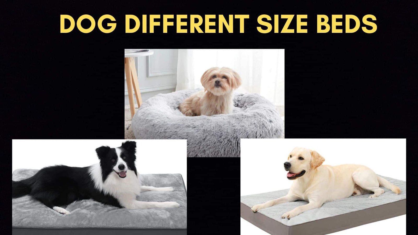 Dogs are sleeping at their beds