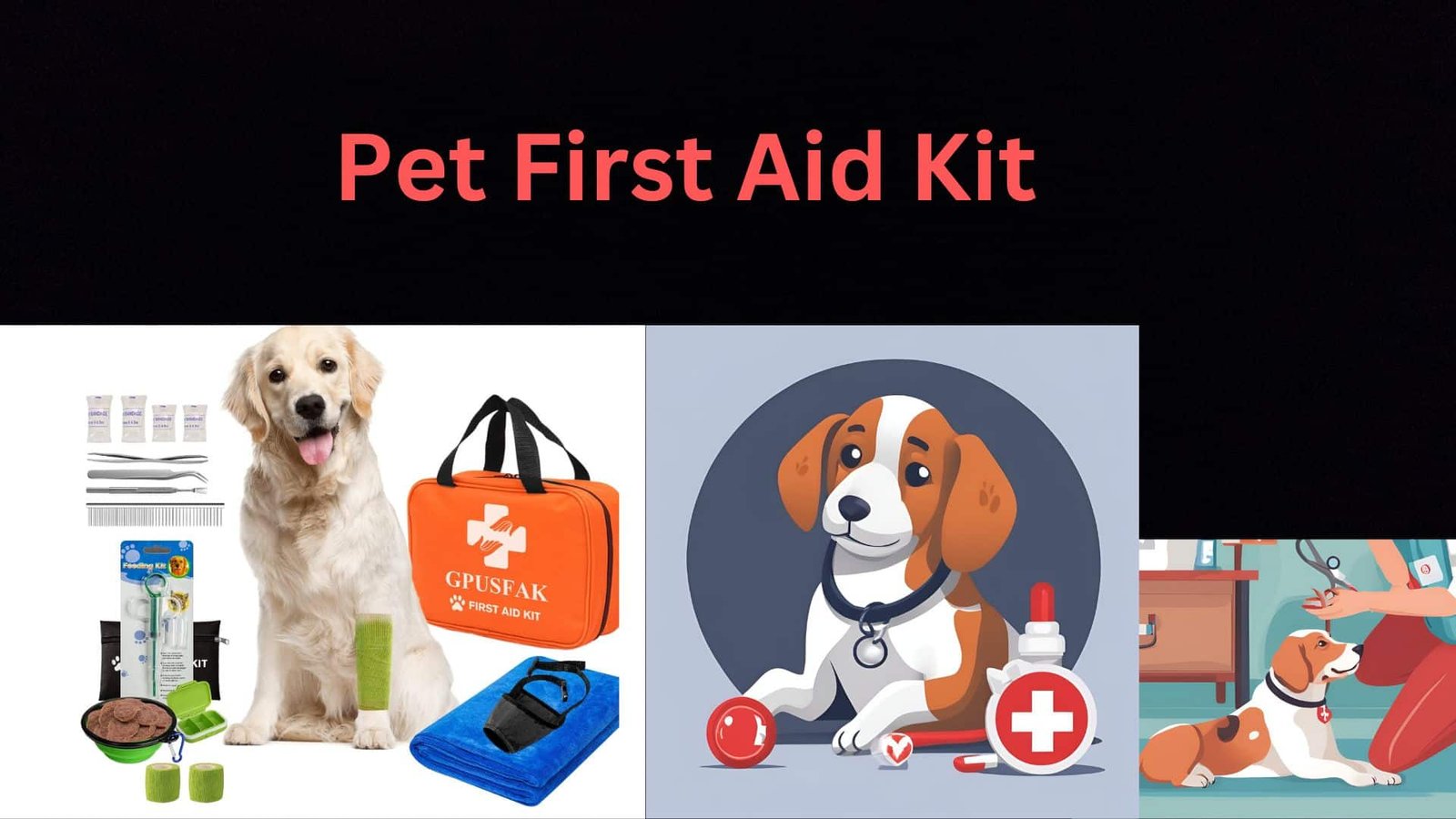 Image of per first aid kit