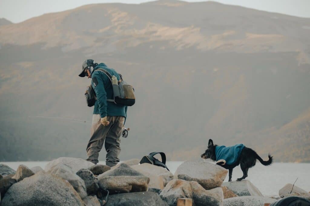 Dog hiking with a man