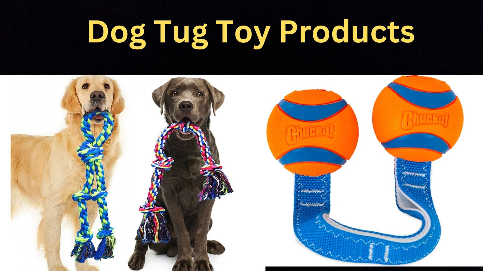 Dog Tug Toy where dog plays with toy and ball is connected with string 