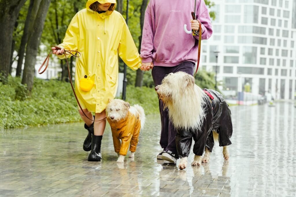 two people are walking with a dog in a rainy day