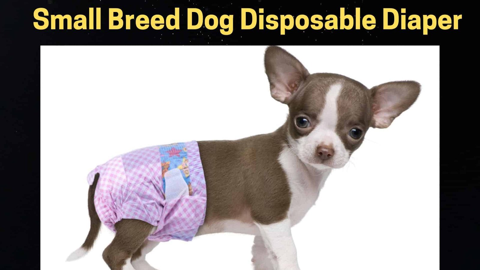 Small Breed Disposable Dog Diapers Female
