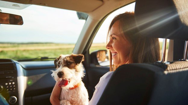 pet owner smiling by holding her pet inside car