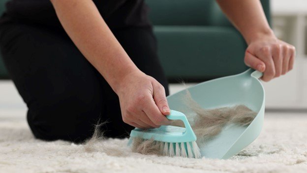 home owner removing pet hair from carpets