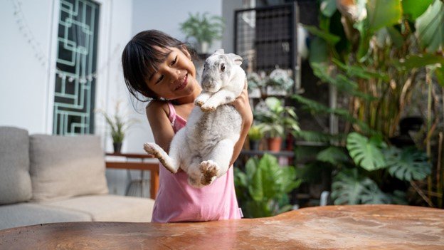 A young girl playing with cute rabbits