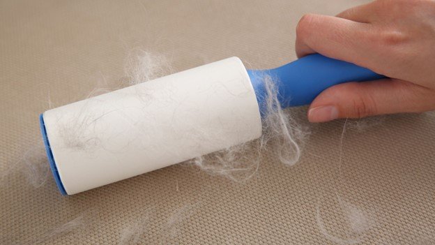 Sticky tape is using for removing carpet pet hair