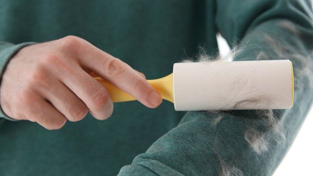 a white sticky roller is using for removing pet hair from cloth