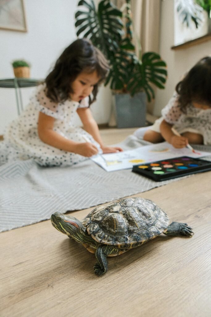 a turtle walking in a home where two kids taking care of their turtles