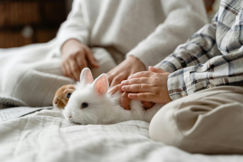 Adorable moment of brother teaching sister How to Care for A Pet Bunny Rabbit​?