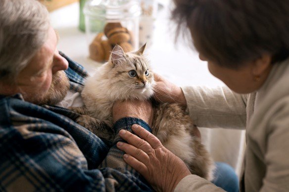 An old man and woman taking care of a cat by holding cat on their arms