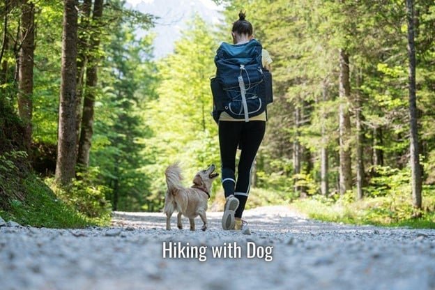 a woman working with a dog for hiking