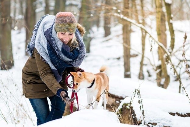 a woman is hiking with her dog in a snow area where womanhas cold jacket and surrouning areas are covered by snow.