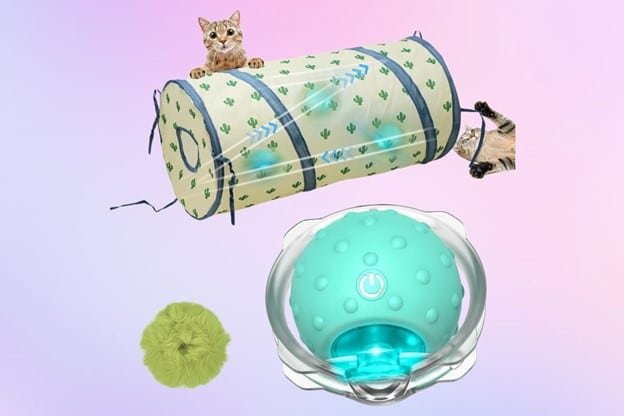 a cat playing with green, yellow rolling tunnel representing interactive toys for indoor cats.