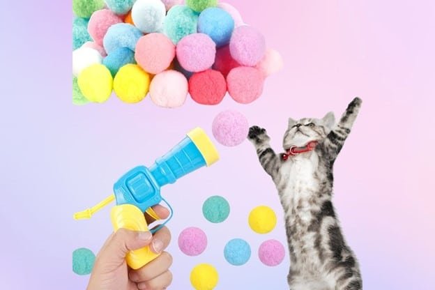a cat is playing with Toy Launcher Gun