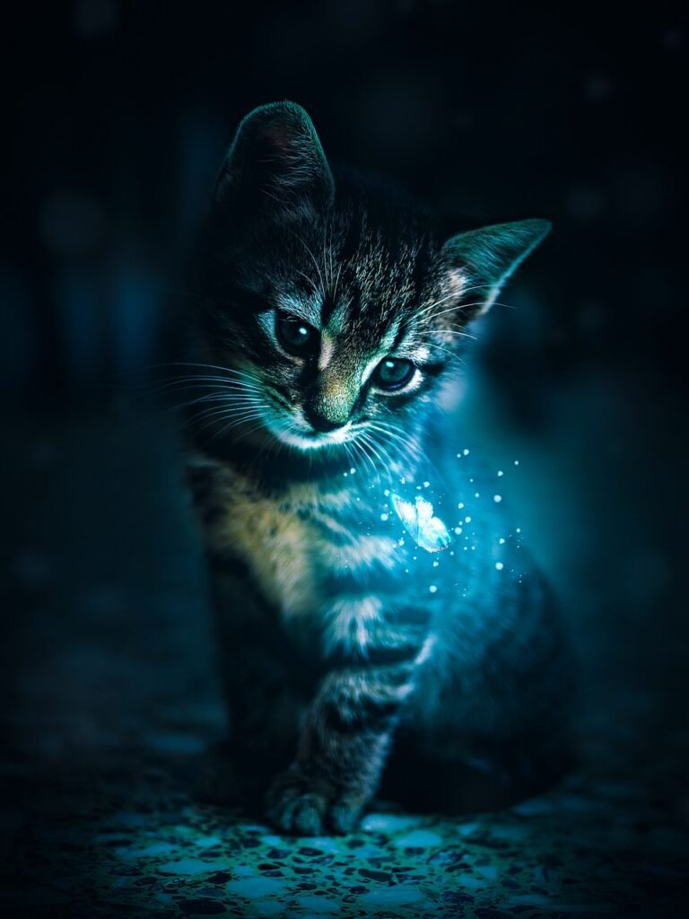 Can Cats See in the Dark