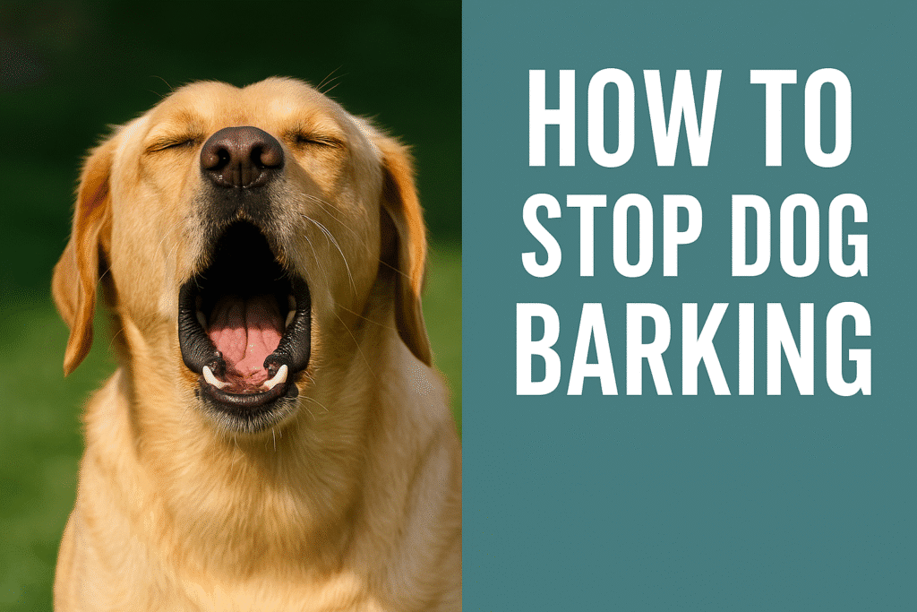 Golden retriever barking in a cozy living room, with the words “How to Stop Dog Barking” displayed in bold, dog-friendly style for training-focused content.