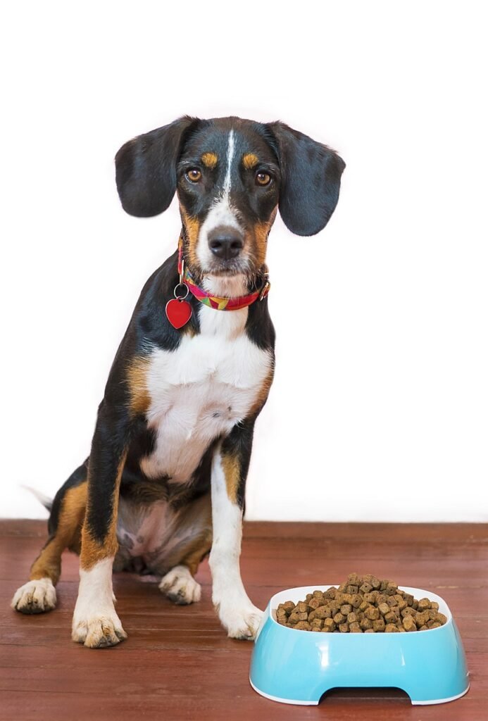 a dog is eating food in a blue cotainer in a home